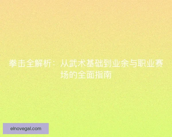 拳击全解析：从武术基础到业余与职业赛场的全面指南